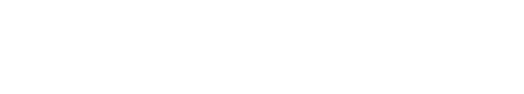 Fidez Group